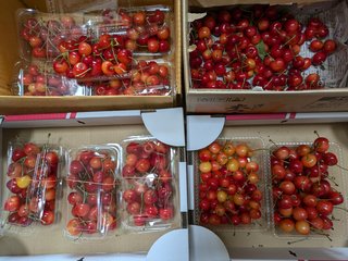 さくらんぼ食べきれないから