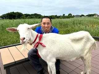 ヤギと大悟7月15日午後1時55分から2時間スペシャル