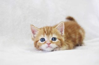 もうすぐ結婚予定の筈の妹が夫にちょっかいかけてくる。