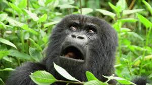 都議補選でも裏金自民党や都ファに勝たせてはいけません。