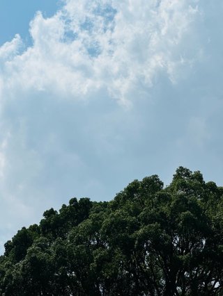 夏休み廃止や短縮希望、60％　困窮世帯「生活費かかる」