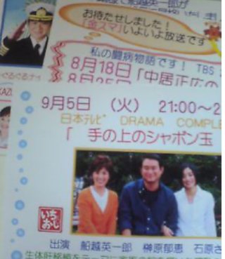 穏やかに松居一代様を斬り込みます