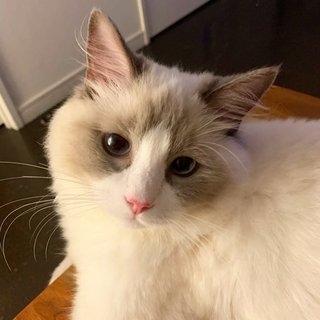 遠野なぎこ　好きな人だけ来て