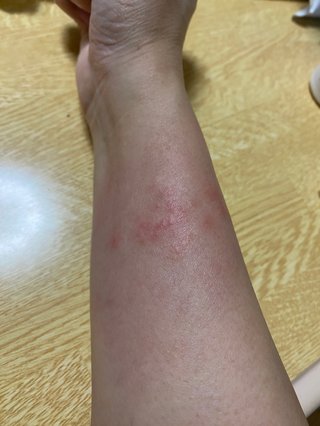 【ちらし裏】聞いてほしいの【ここに書け】