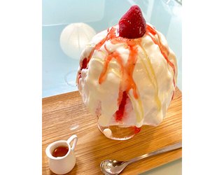 芸能人＋有名人名前しりとり☆