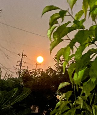 &#x{11:F8E2};なんでもいｰから&#x{11:F8E2};