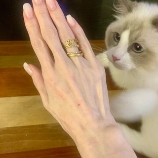 遠野なぎこ　好きな人だけ来て