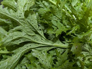 今日のお昼ごはん