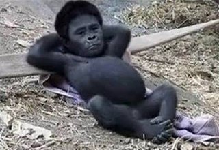 ダウンタウンのガキの使いやあらへんで！