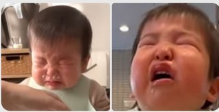 りっくん日記(YouTube)