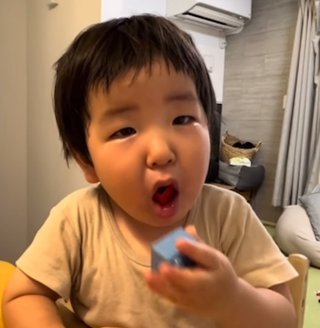 りっくん日記(YouTube)