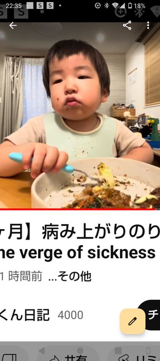 りっくん日記(YouTube)