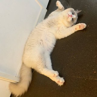 遠野なぎこ　好きな人だけ来て