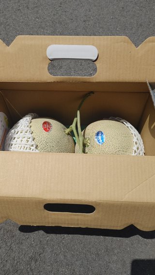 交差点でおメロン拾ったぁぁよ！！どうしたら良いのでしょうか？