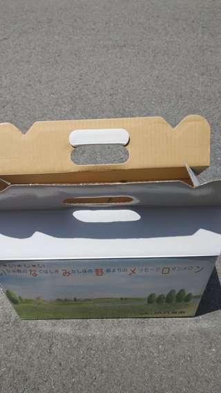 交差点でおメロン拾ったぁぁよ！！どうしたら良いのでしょうか？