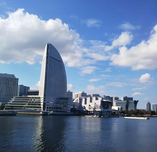 交差点でおメロン拾ったぁぁよ！！どうしたら良いのでしょうか？