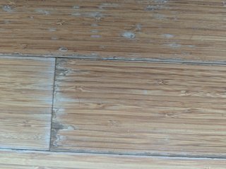 子供が犬を貰ってきたけど家で飼えない