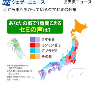 セミに言うことない？