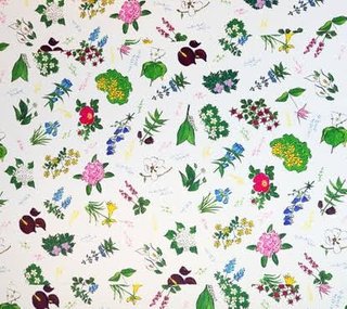 こういう柄の服