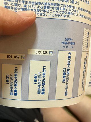 40歳です。この年金の金額ヤバい？