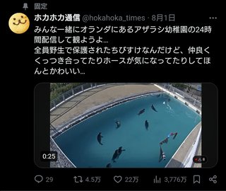 あざらし幼稚園って知ってる？