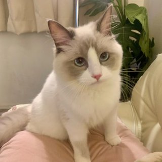 遠野なぎこ　好きな人だけ来て