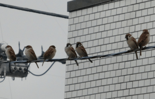 7人でごはん食べに行くんだけど（飲み会みたいな）