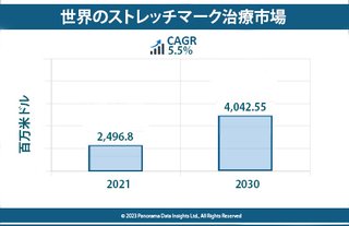 世界のストレッチマーク治療市場、2030年までに大幅成長の見込み