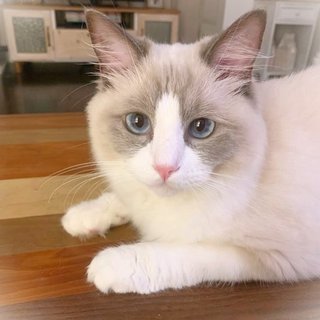 遠野なぎこ　好きな人だけ来て