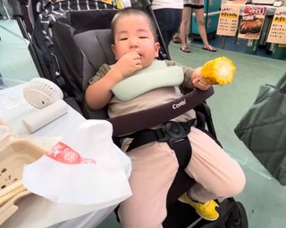 りっくん日記(YouTube)