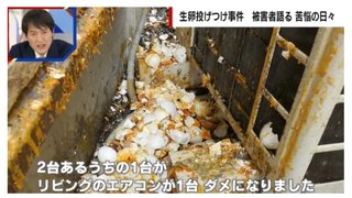 “生卵投げつけ女“による4年間毎日続いた嫌がらせ