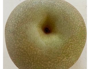 穏やかに松居一代様を斬り込みます