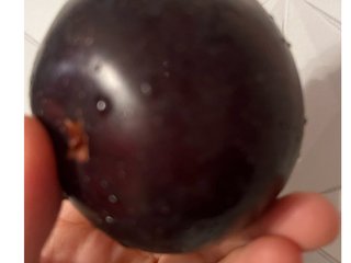 穏やかに松居一代様を斬り込みます