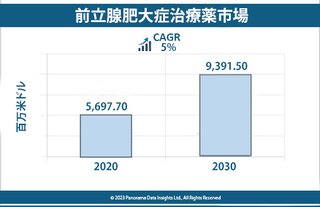 2030年までの前立腺肥大症治療薬市場の成長予測と業界分析