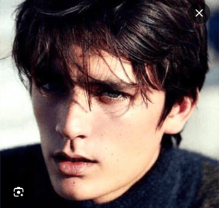 世界のハンサム アラン・ドロン死去