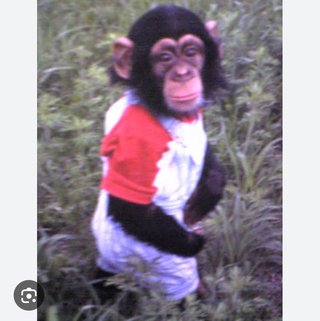 お店で「キーキー」叫ぶ子