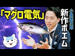 冗談抜きで小泉進次郎に総理大臣になってもらいたいっておかしい？