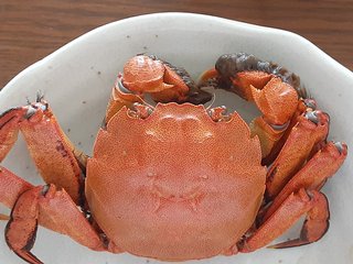 【福岡】【総合】