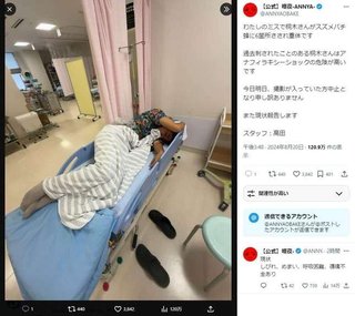 心霊系イベント団体「暗夜-ANNYA-」代表者「重体」スズメバチに6か所...アナフィラキー