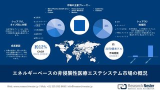 エネルギーベースの非侵襲性医療エステシステム市場：業界規模、シェア、収益成長、発展2036