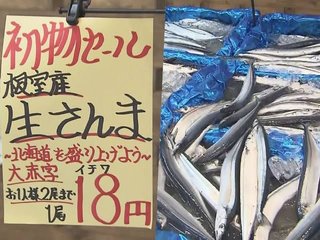 サンマが連日豊漁！！札幌では衝撃の“1尾18円”