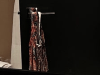 穏やかに松居一代様を斬り込みます