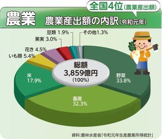 米が売ってない