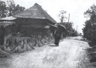 赤ちゃんは１００年後の未来を見る