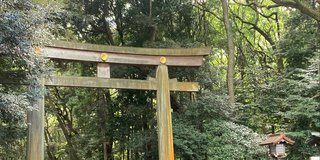 東京行くよ。一人旅だよ。