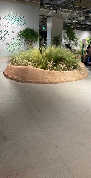 東京行くよ。一人旅だよ。