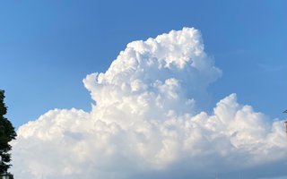 【ちらし裏】聞いてほしいの【ここに書け】