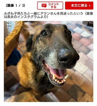 愛犬家アラン・ドロンさんの“遺言”「自分が死ぬ時、犬も一緒に死なせて埋めてくれ」←これ