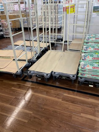 【福岡】【総合】