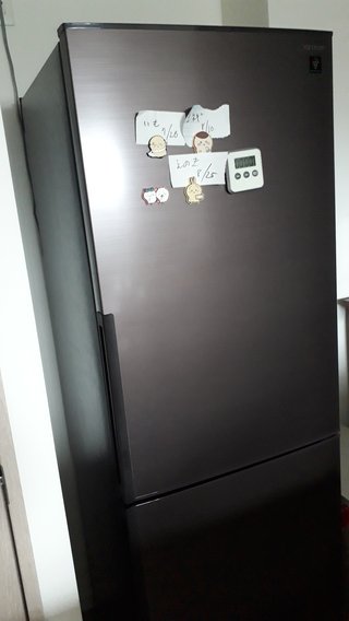 うちの冷蔵庫は茶色だよ